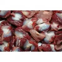 Frozen Halal Chicken Gizzards For Sale