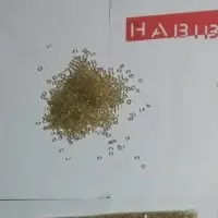 Pet Pellets Clear
