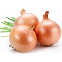 Golden Onion