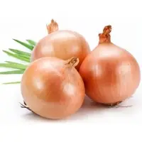 Golden Onion