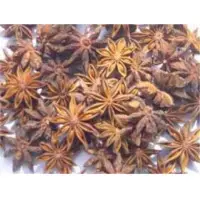 Star aniseeds