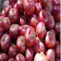 Fresh Onion