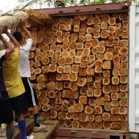 Teak Wood