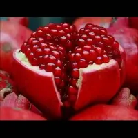 Pomegranate