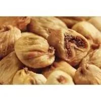 Figs