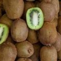 Kiwi Fruits