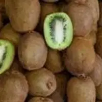 Kiwi Fruits