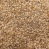 Sesame Seeds