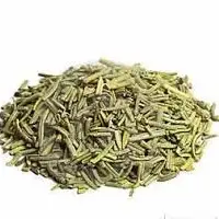 Rosemary