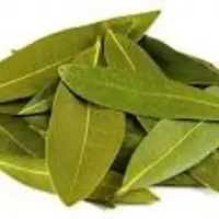 Bay Leaf