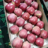 Fresh Apples