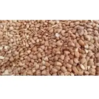 Brown Beans