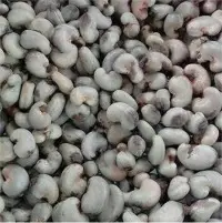 Cashew Nuts