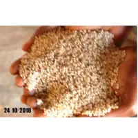 Sesame Seeds