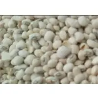 White Beans