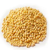 Non GMO Organic Soyabean