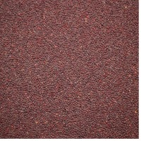 Organic Mustard Seed
