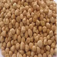 Organic Kabuli Chickpeas