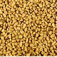 Organic Fenugreek
