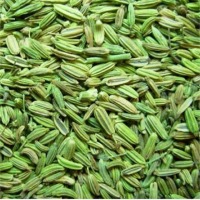 Organic Fennel Seeds
