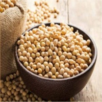 Organic Soybean