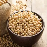 Organic Soybean