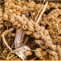 Millets