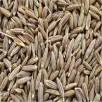 Cumin Seeds