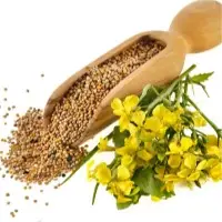 Mustard Seeds