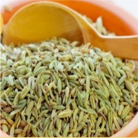 Fennel Seeds
