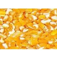 Organic Corn Grit