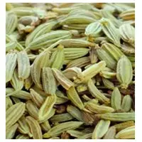 Organic Fennel Seeds