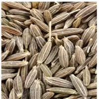 Organic Cumin Seeds