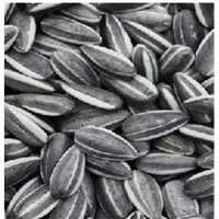 Sunflower Seeds