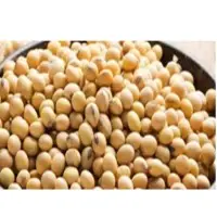 Non GMO Organic Soybean Seed