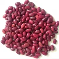 Red Kidney Beans
