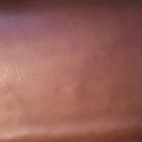 Finished Leather