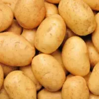 Potato