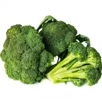 Fresh Broccoli