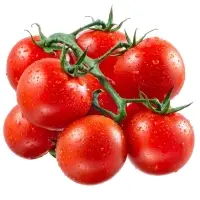 Fresh Tomato