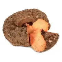 Yam Root