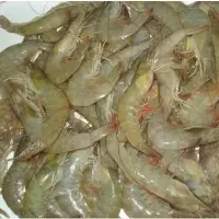 Vannamei Prawns