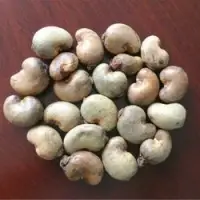 Sun Dried Raw Cashew Nuts In Shell