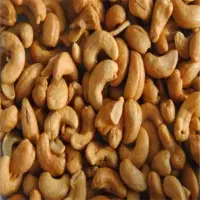 Cashew Nut