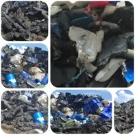 HDPE Shredded Cold Washed Scrap