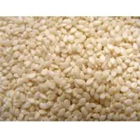 Sesame Seeds