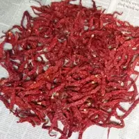 Byadigi Chillies