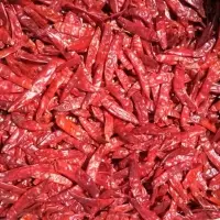 Teja Chilli