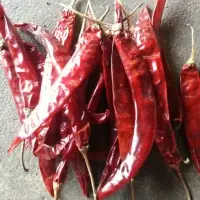 Wonderhot Chilli