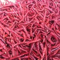 Sanam Chillies